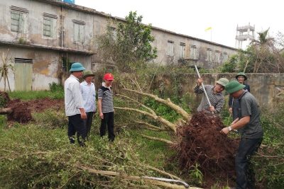 Ảnh trồng cây